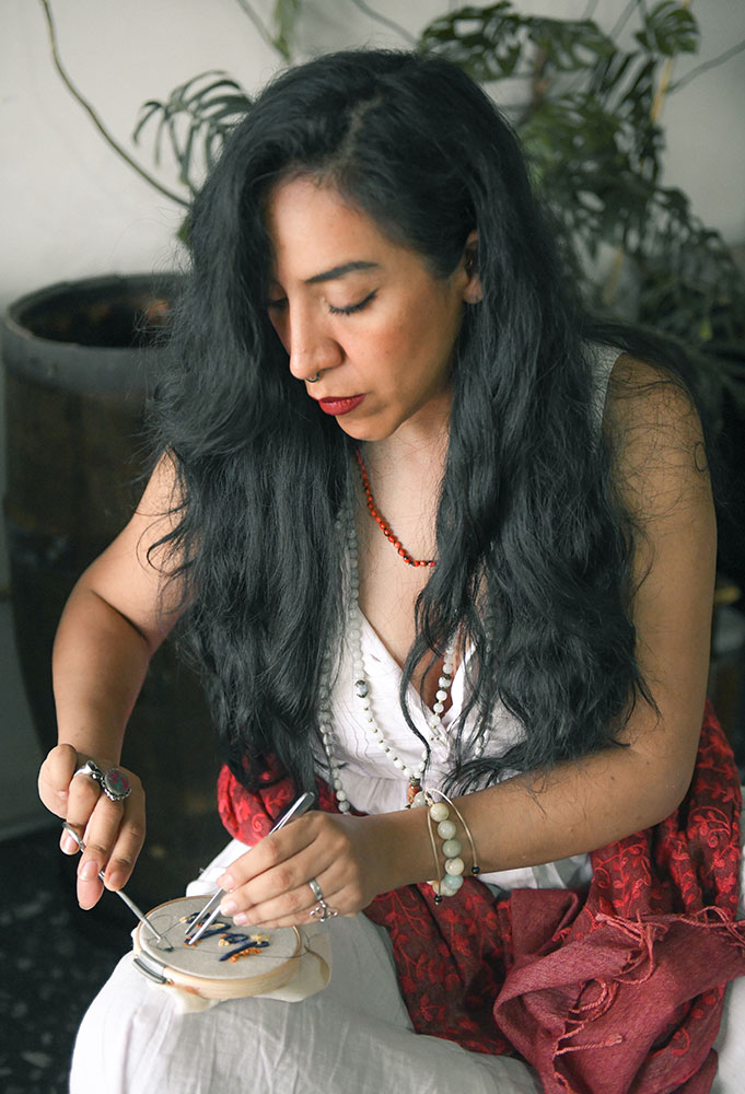 Dra-Mariana-Robles-proyectos